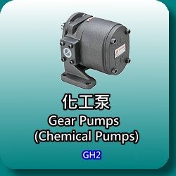 GH2 series chemical pump